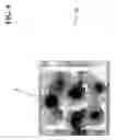 Fig. 10 - Method and system for spatial behavior modification based on geospatial modeling