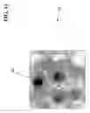Fig. 12 - Method and system for spatial behavior modification based on geospatial modeling