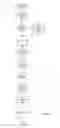 Fig. 06 - Extension of organizational chart dynamic group lists based on LDAP lookups