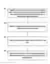 Fig. 01 - Copy-on-write versioning of documents