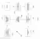 Fig. 03 - Transporting keys between security protocols