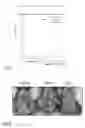 Fig. 03 - DISEASE MODEL ANIMALS OF METABOLIC SYNDROME AND A METHOD OF SCREENING PREVENTIVE AND THERAPEUTIC AGENTS FOR METABOLIC SYNDROME USING THE SAME