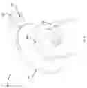 Fig. 07 - Method and apparatus for affecting controlled movement of at least a portion of the body