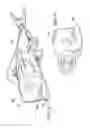 Fig. 06 - Fishing lure with replaceable tail