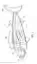Fig. 08 - Fishing lure with replaceable tail