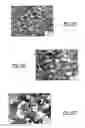 Fig. 09 - METHOD OF FORMING A PANEL FROM A METAL ALLOY SHEET
