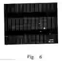 Fig. 07 - Massively parallel lithography with two-dimensional pen arrays