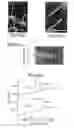 Fig. 06 - Nanostructures and methods for manufacturing the same