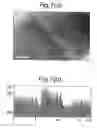 Fig. 07 - Nanostructures and methods for manufacturing the same