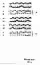 Fig. 02 - Fabrics Employing Binder/Top Interchanging Yarn Pairs