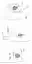 Fig. 02 - METHODS FOR PRODUCING A LABEL HAVING A SUBSTANTIALLY TWO DIMENSIONAL IMAGE ON A SURFACE HAVING A TOPOGRAPHICAL TEXTURE, AND A LABEL BEARING SUCH AN IMAGE