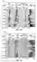 Fig. 09 - Method of drilling and producing hydrocarbons from subsurface formations