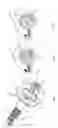 Fig. 06 - Damper assembly exploiting a crankshaft