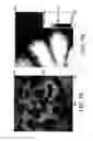 Fig. 06 - Photoactive materials and related compounds, devices, and methods