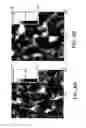 Fig. 07 - Photoactive materials and related compounds, devices, and methods