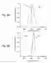 Fig. 07 - Nanocomposites