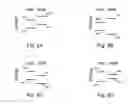 Fig. 09 - Nanocomposites