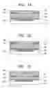Fig. 02 - Organic semiconductor device, process for producing the same, and organic semiconductor apparatus