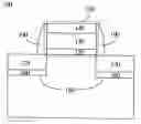 Fig. 01 - SEMICONDUCTOR DEVICE AND METHOD FOR MANUFACTURING THE SAME