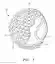 Fig. 02 - Apparatus for producing a golf ball with deep dimples