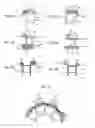 Fig. 09 - Axial air-gap electronic motor