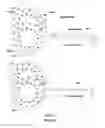 Fig. 07 - Shielded Rogowski coil assembly and methods