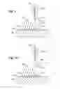 Fig. 07 - HIGH DENSITY INTEGRATED CIRCUIT APPARATUS, TEST PROBE AND METHODS OF USE THEREOF