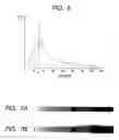 Fig. 07 - Image processing apparatus, image processing method, and image processing program