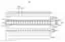 Fig. 01 - Polarizing plate, display panel having the same, and display device having the same