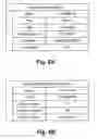 Fig. 07 - Copyright compliance