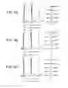 Fig. 07 - Zoom lens system and optical apparatus using the same