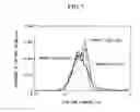 Fig. 05 - Process for Producing Porous Sintered Metal