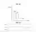 Fig. 06 - PRAM and method of firing memory cells