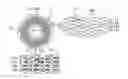 Fig. 01 - Optical disc having uniform structure