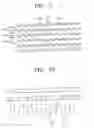 Fig. 06 - Optical disc having uniform structure
