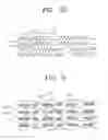 Fig. 08 - OPTICAL DISC HAVING UNIFORM STRUCTURE