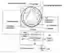 Fig. 01 - X-ray CT apparatus comprising a tube current control unit