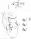 Fig. 02 - CRYPTOLOGY CALCULATION FOR LAST USED AUTHENTICATION DEVICE