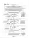 Fig. 24 - Image processing apparatus, image processing method, and computer program