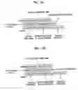 Fig. 07 - Information storage medium storing text-based subtitle, and apparatus and method for processing text-based subtitle