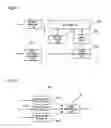 Fig. 14 - Video Decoding Apparatus, Video Playback Apparatus, Video Decoding Method, And Video Playback Method