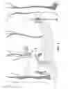 Fig. 04 - Portable Camera Support