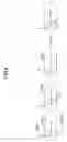 Fig. 09 - Optical signal transmission system and optical signal transmission method
