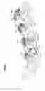 Fig. 13 - Image forming apparatus having a locking member locking an image forming unit attached thereto