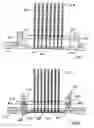 Fig. 07 - Modular Biochip Assembly