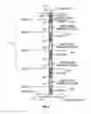 Fig. 03 - Maximum reaction rate converter process for exothermic reactions