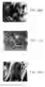 Fig. 16 - Method for producing a catalyst support and compositions thereof