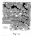 Fig. 20 - Method for producing a catalyst support and compositions thereof