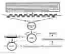 Fig. 01 - Human cytomegalovirus immunotherapy