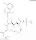 Fig. 120 - Inhibitors of Hepatitis C Virus